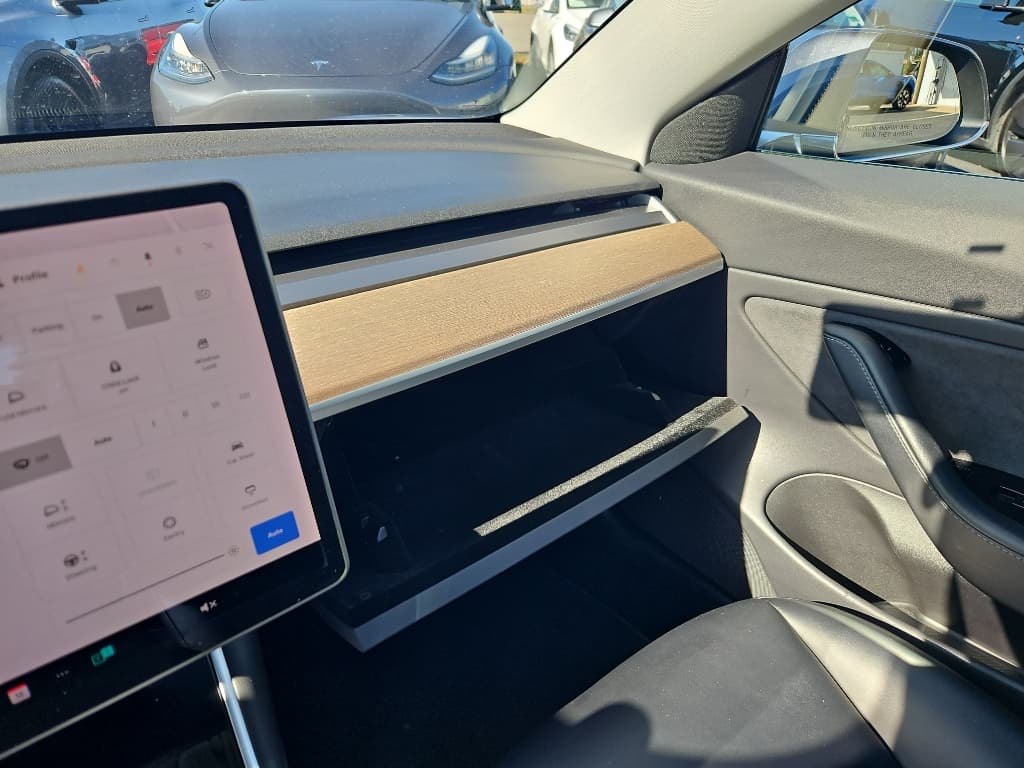 2019 Tesla Model 3 view 18