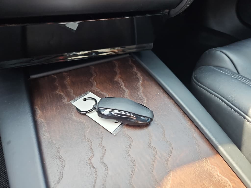 2021 Tesla Model S view 17
