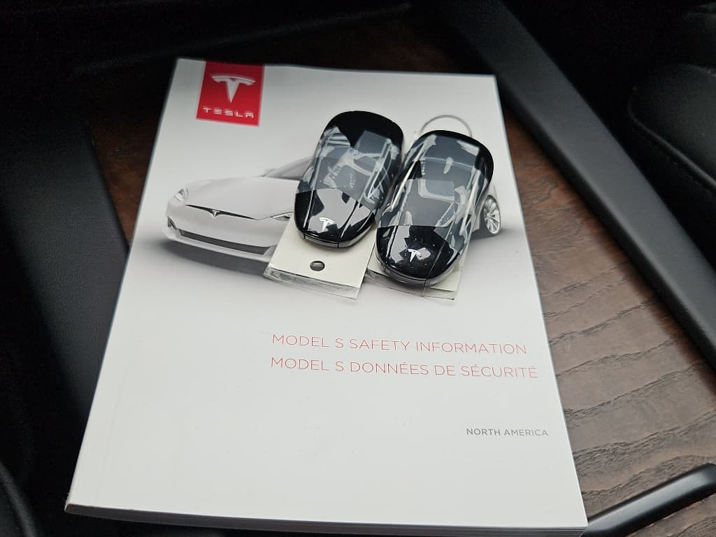 2021 Tesla Model S view 18