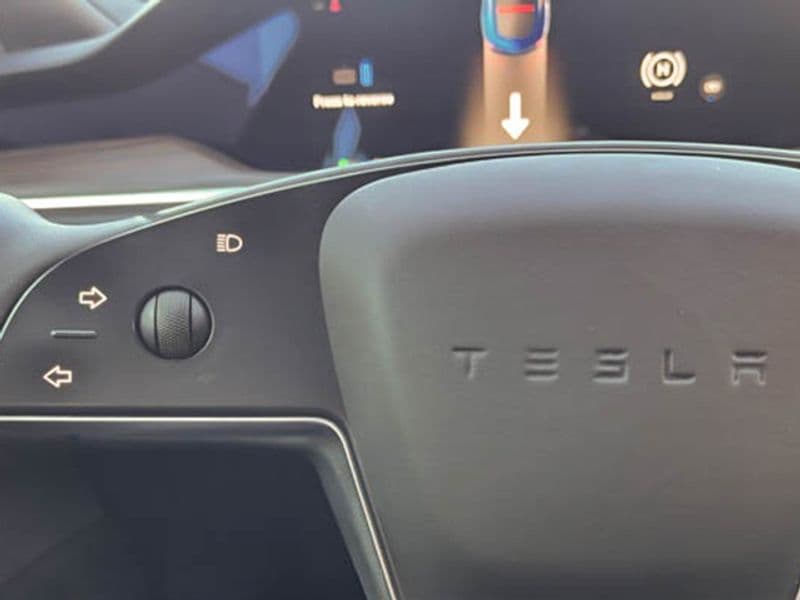 2021 Tesla Model S view 14