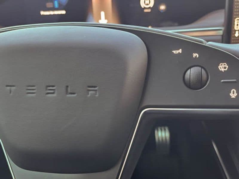 2021 Tesla Model S view 15