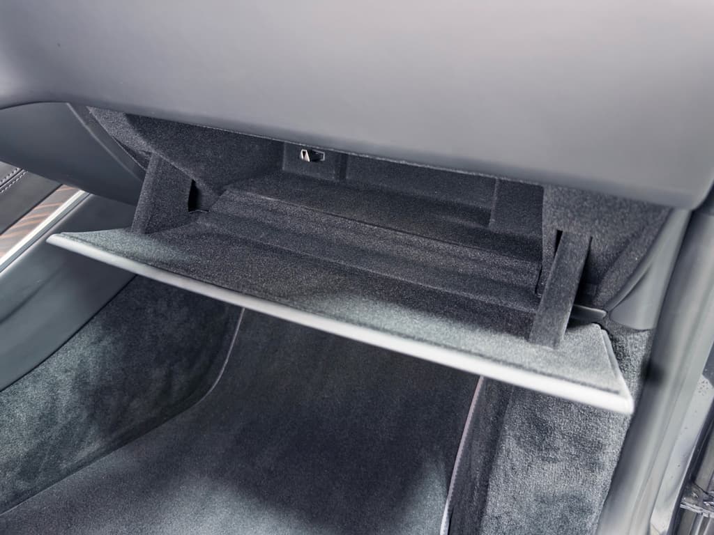 2021 Tesla Model S view 19