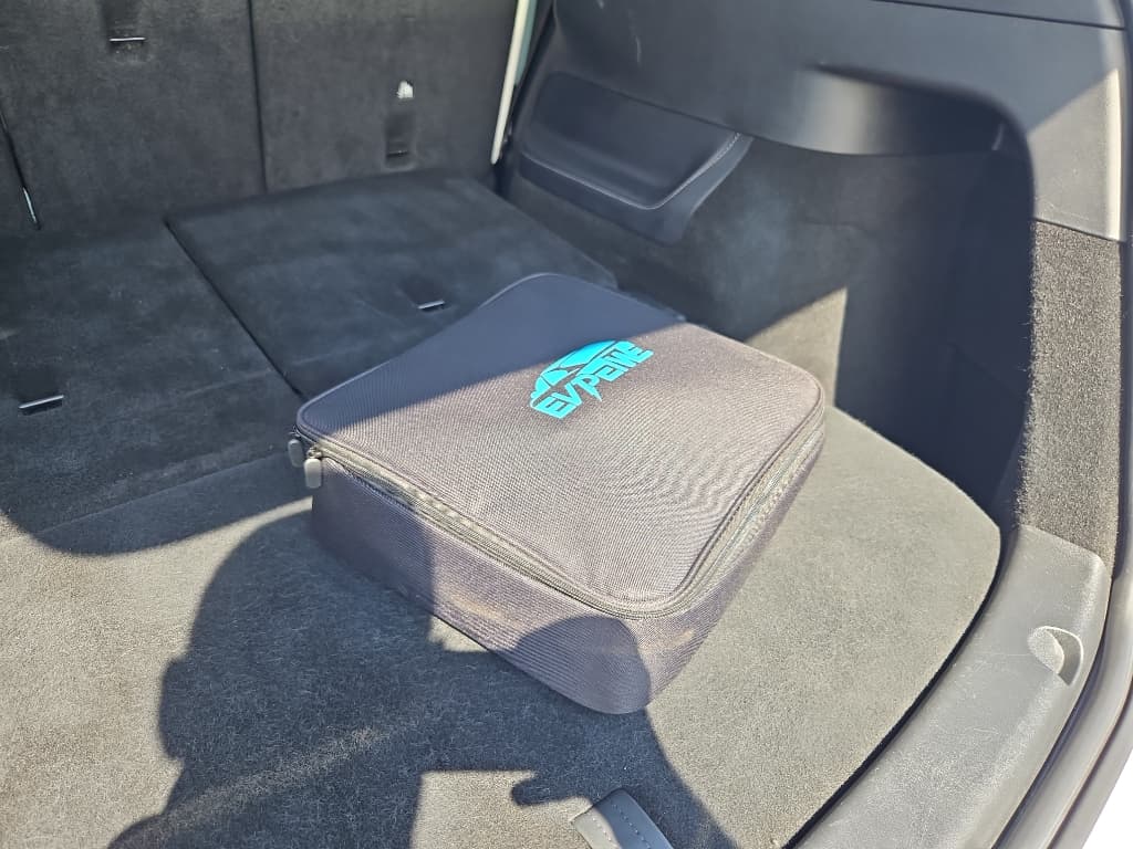 2022 Tesla Model Y view 6