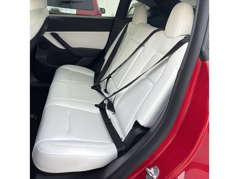 2022 Tesla Model Y view 6