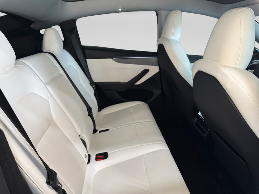 2026 Tesla Model Y view 22