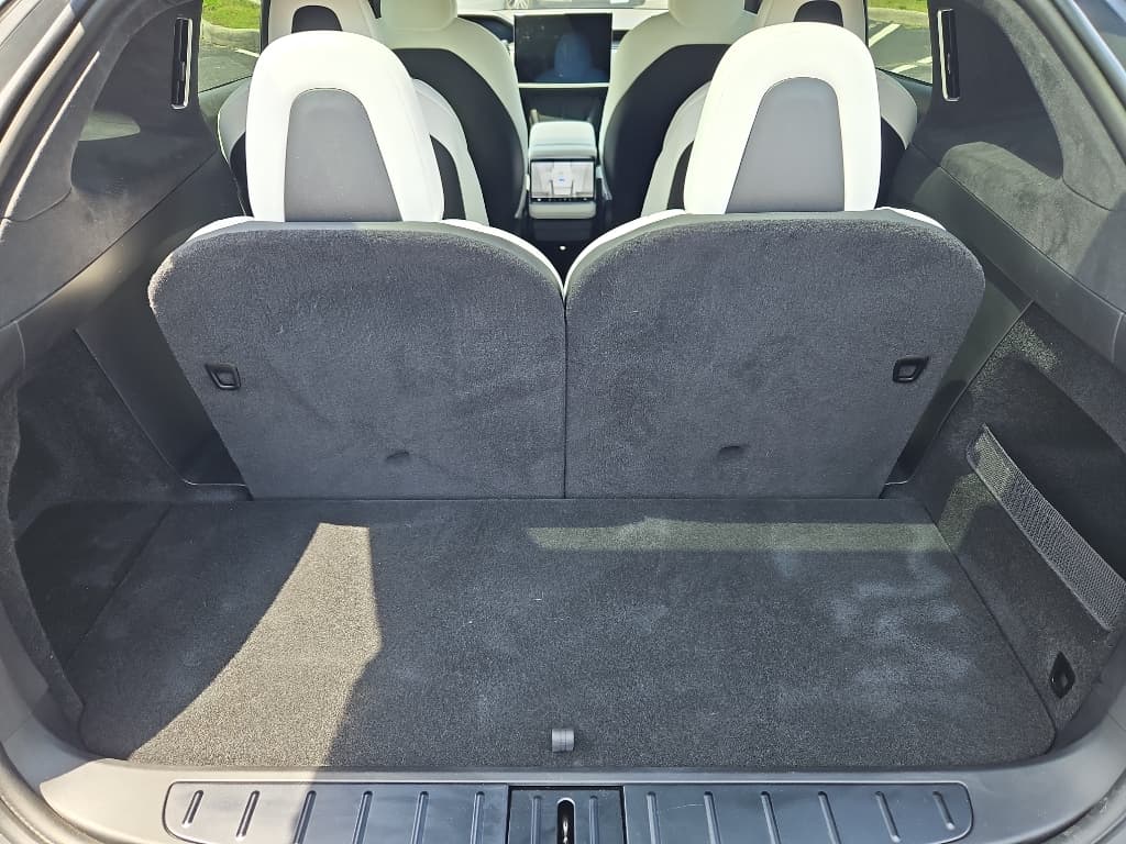 2024 Tesla Model X view 20