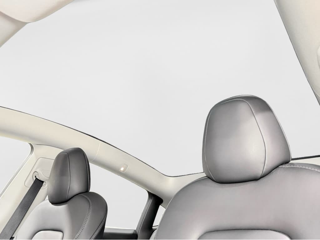2022 Tesla Model Y view 23