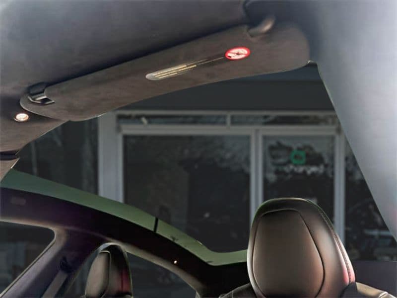 2021 Tesla Model S view 16