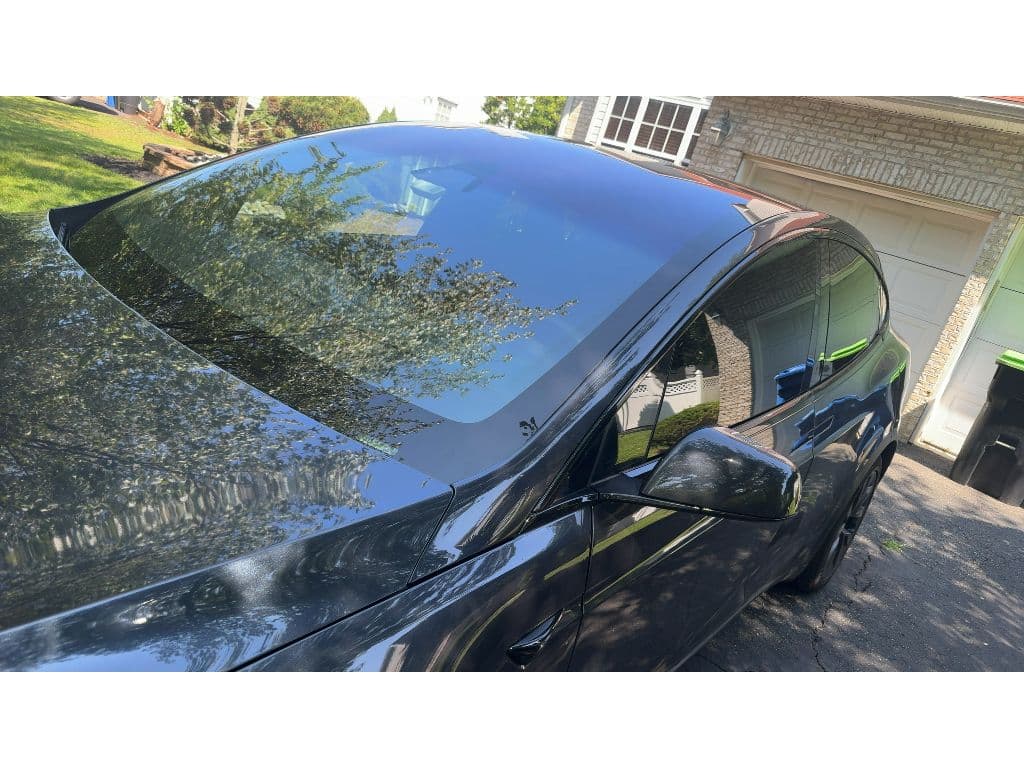 2025 Tesla Model X view 10