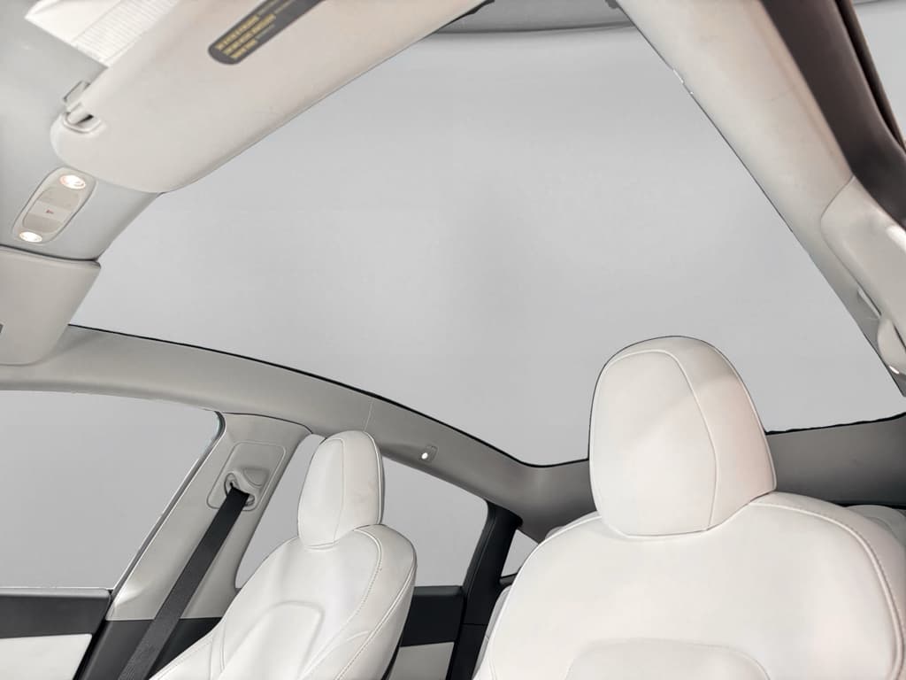 2022 Tesla Model Y view 23