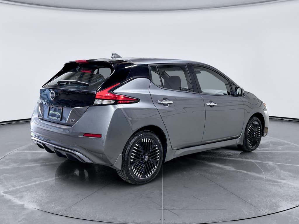 2024 Nissan LEAF view 3
