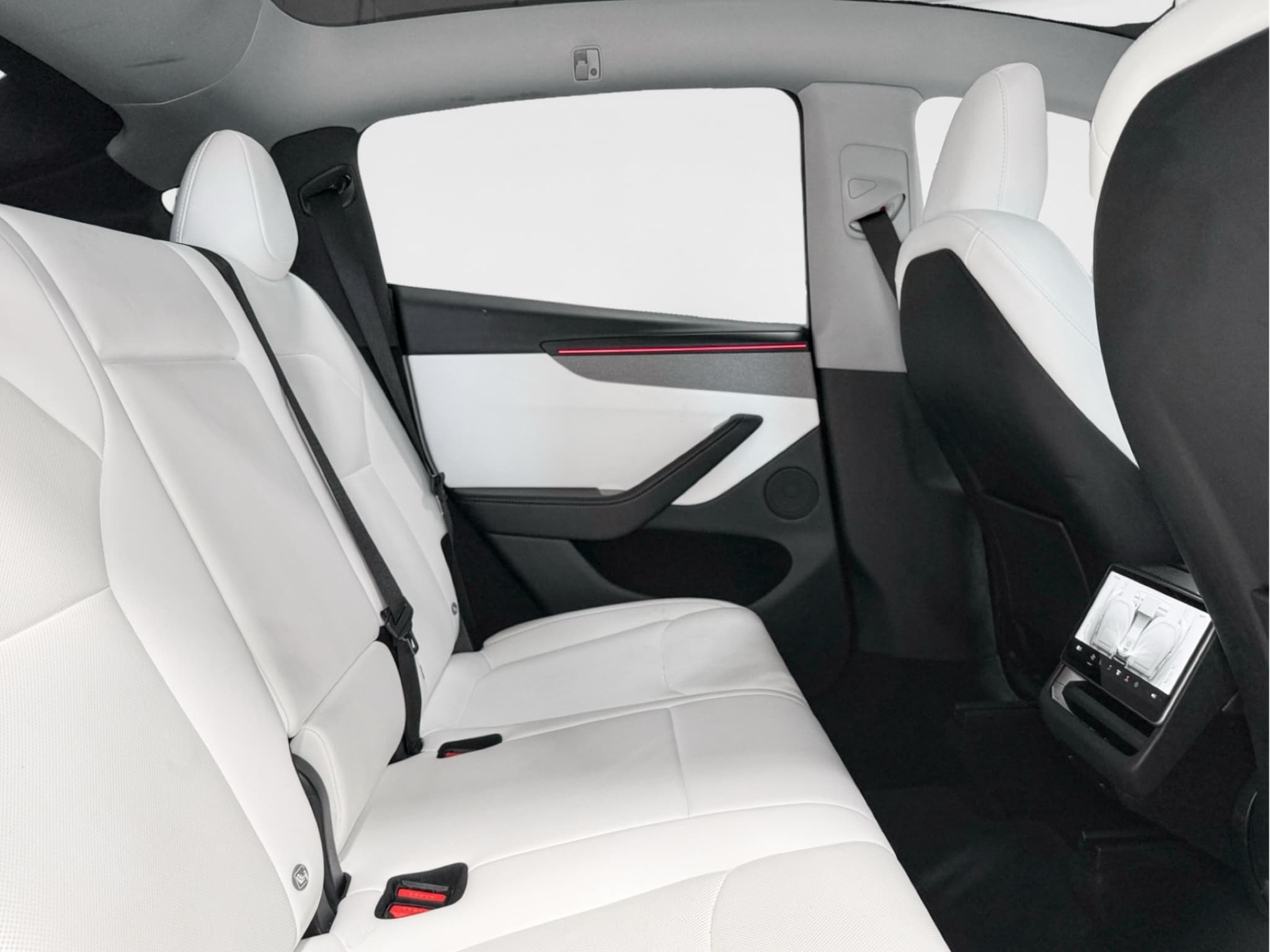 2026 Tesla Model Y view 21
