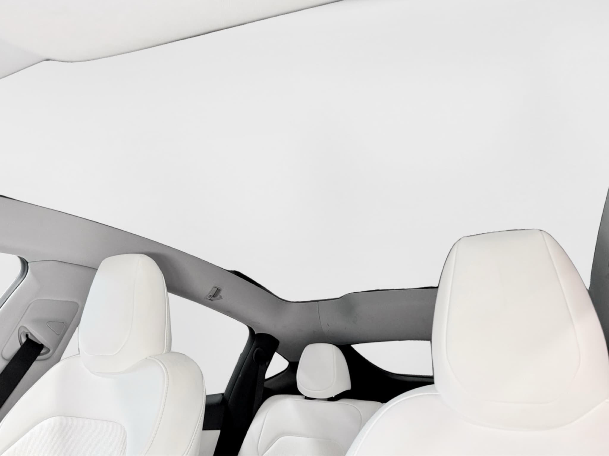 2026 Tesla Model Y view 23