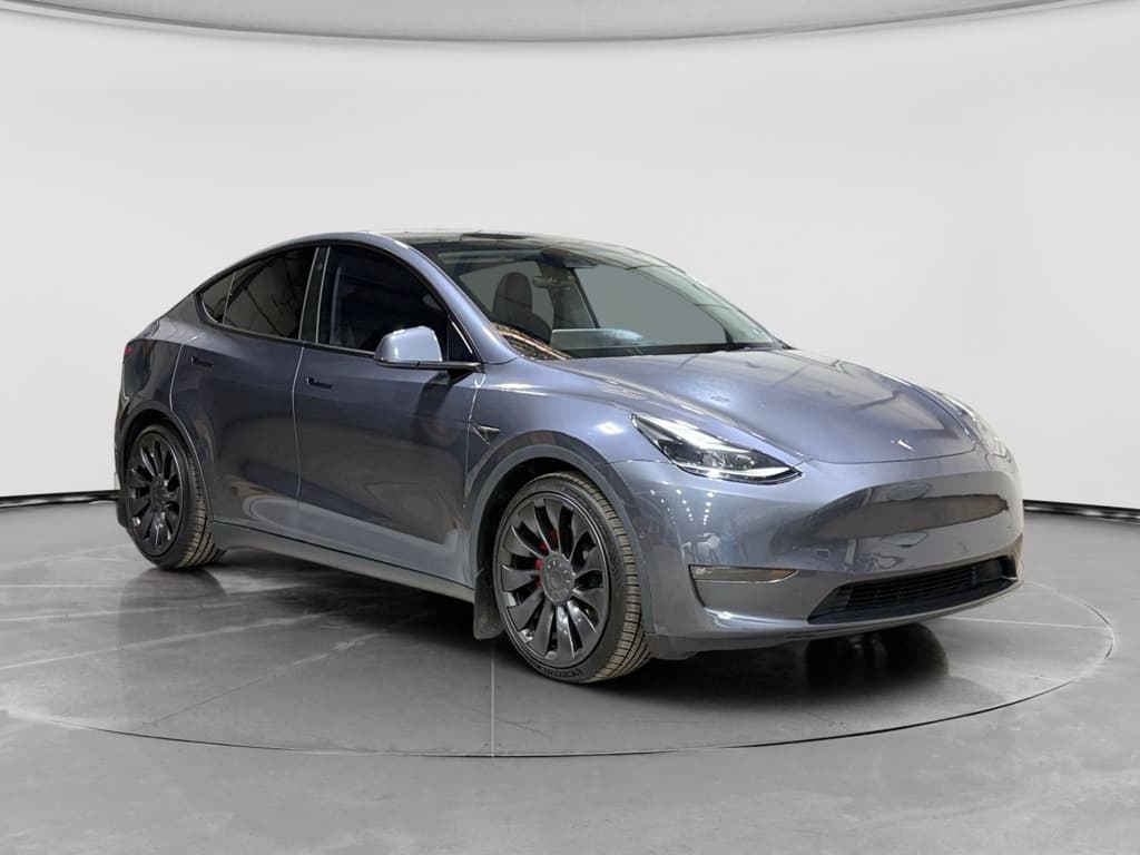2023 Tesla Model Y view 4