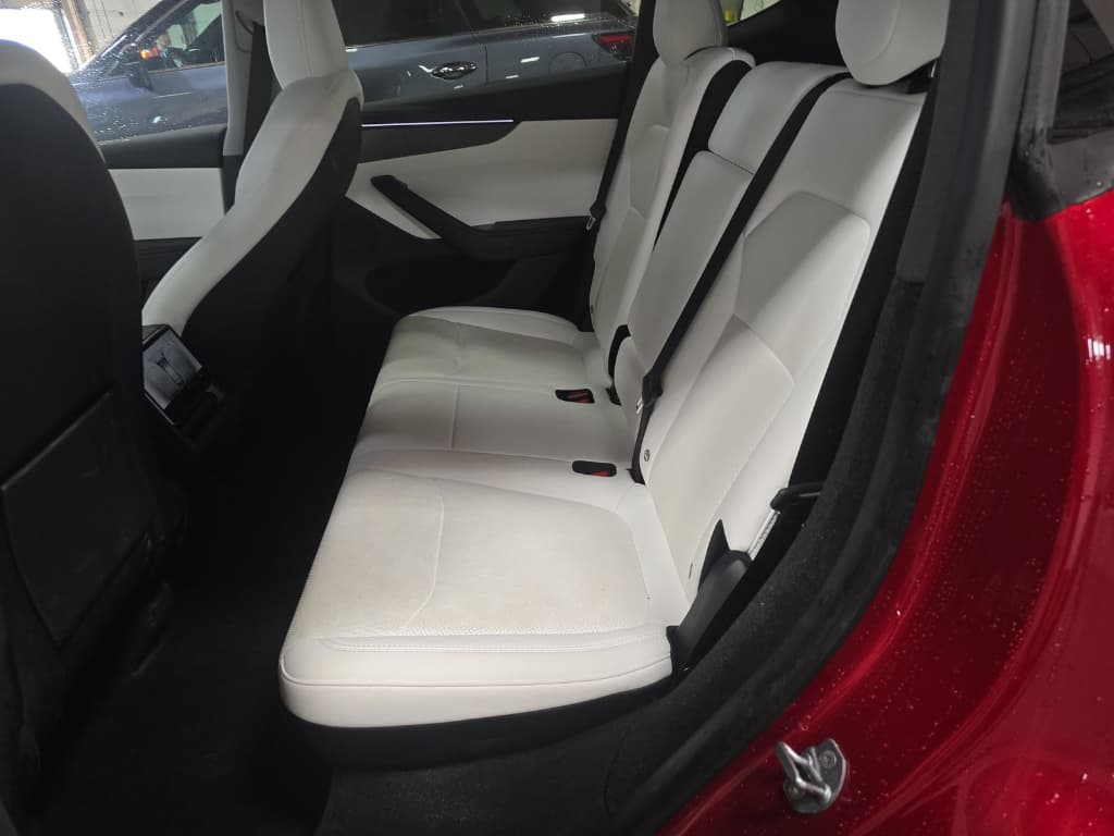 2026 Tesla Model Y view 6