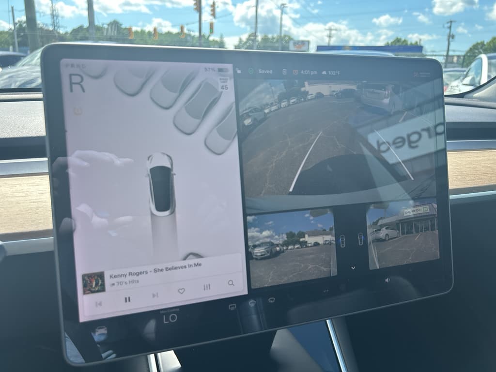 2020 Tesla Model 3 view 11