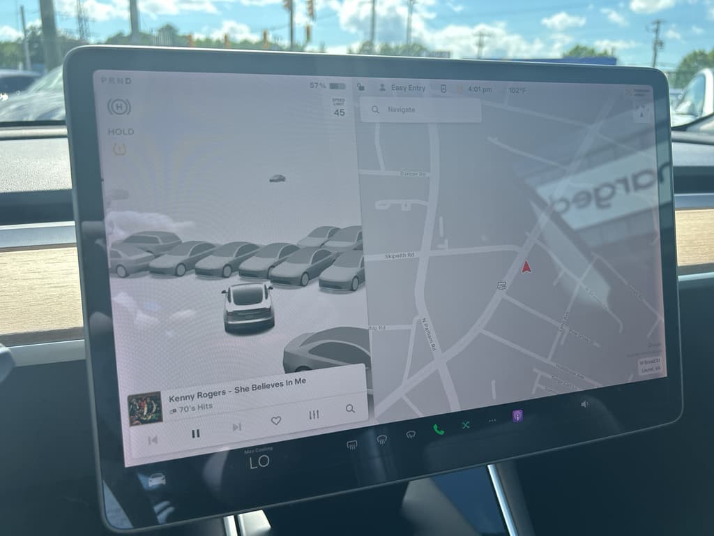 2020 Tesla Model 3 view 10