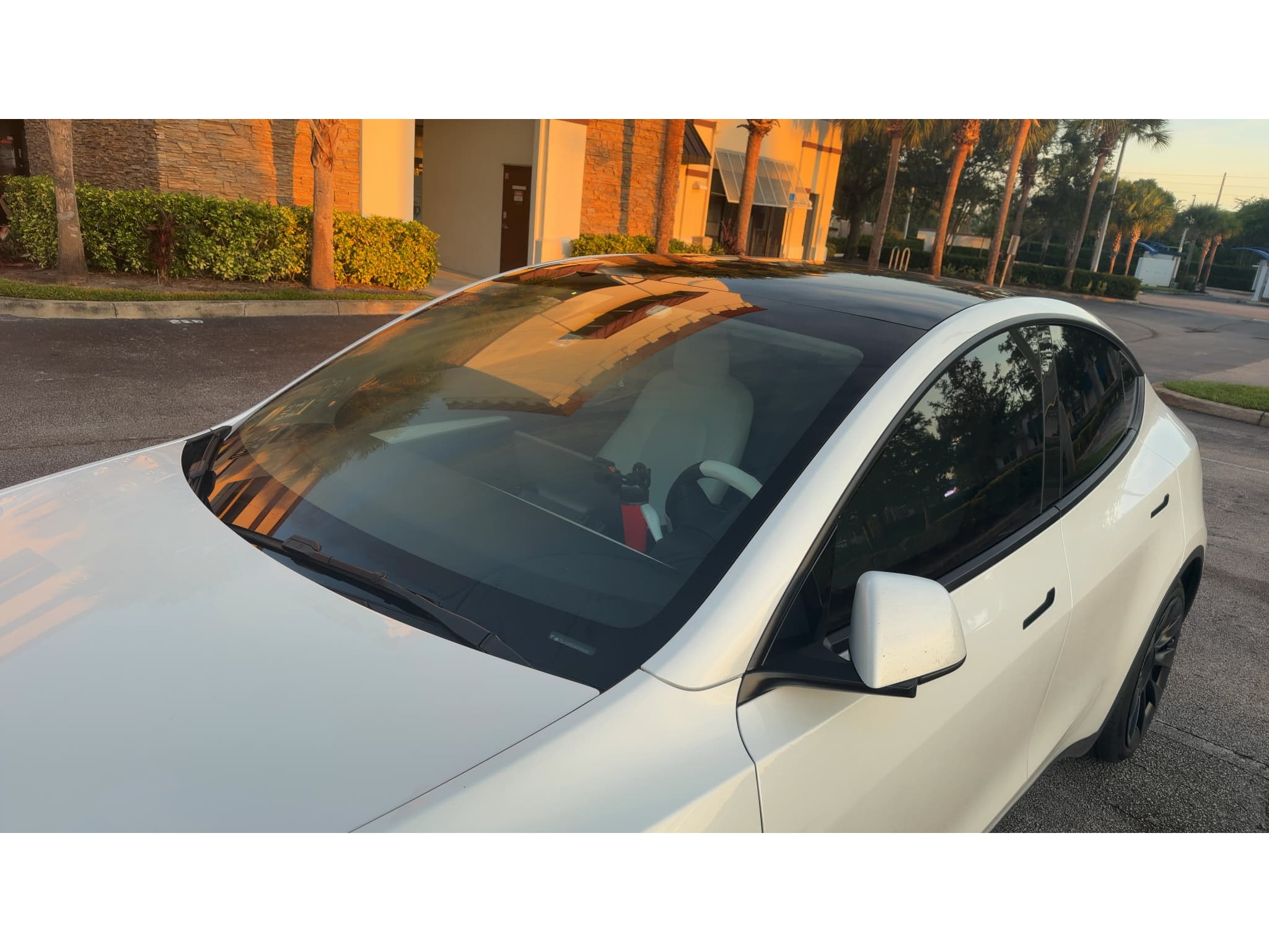 2023 Tesla Model Y view 1