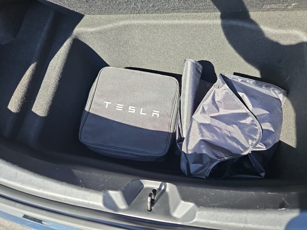 2020 Tesla Model 3 view 6