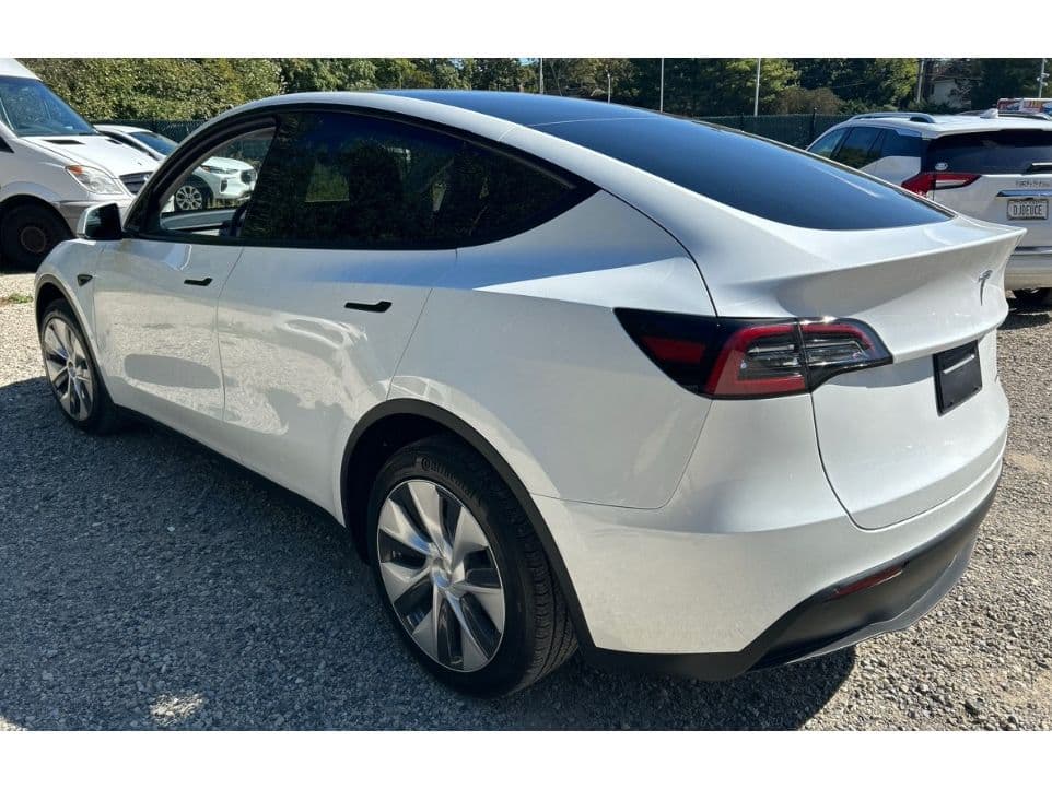 2023 Tesla Model Y view 4