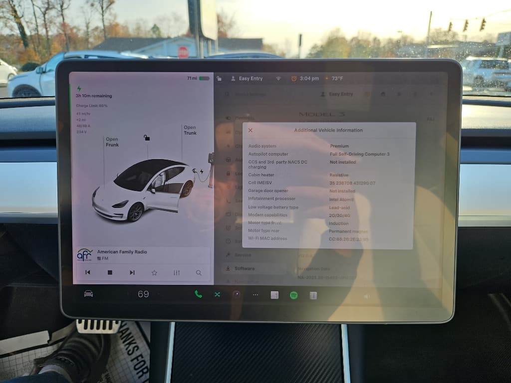 2020 Tesla Model 3 view 10