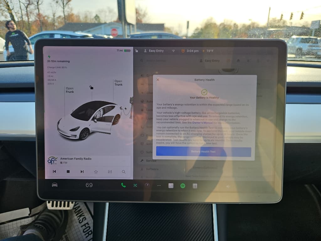 2020 Tesla Model 3 view 12