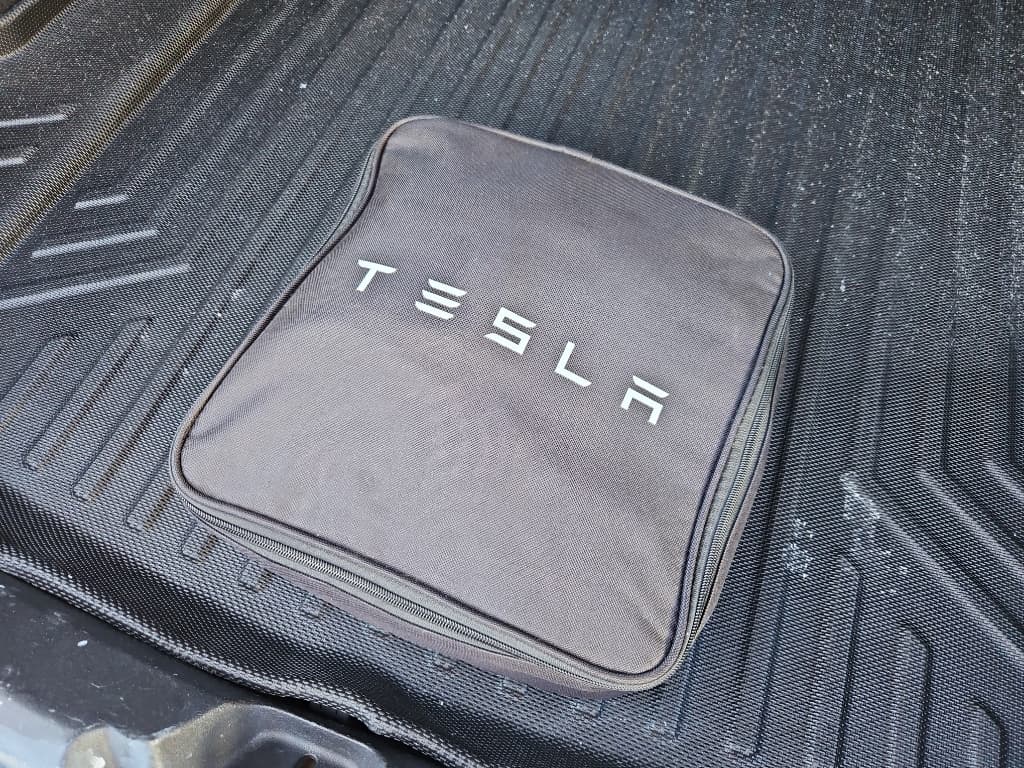 2020 Tesla Model 3 view 6