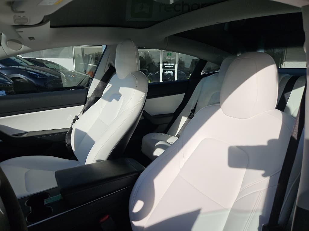 2020 Tesla Model 3 view 19