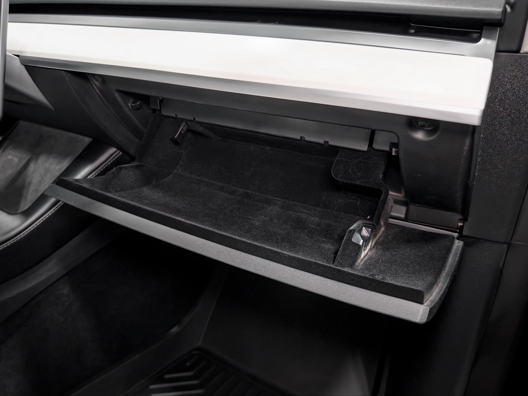 2023 Tesla Model Y view 19