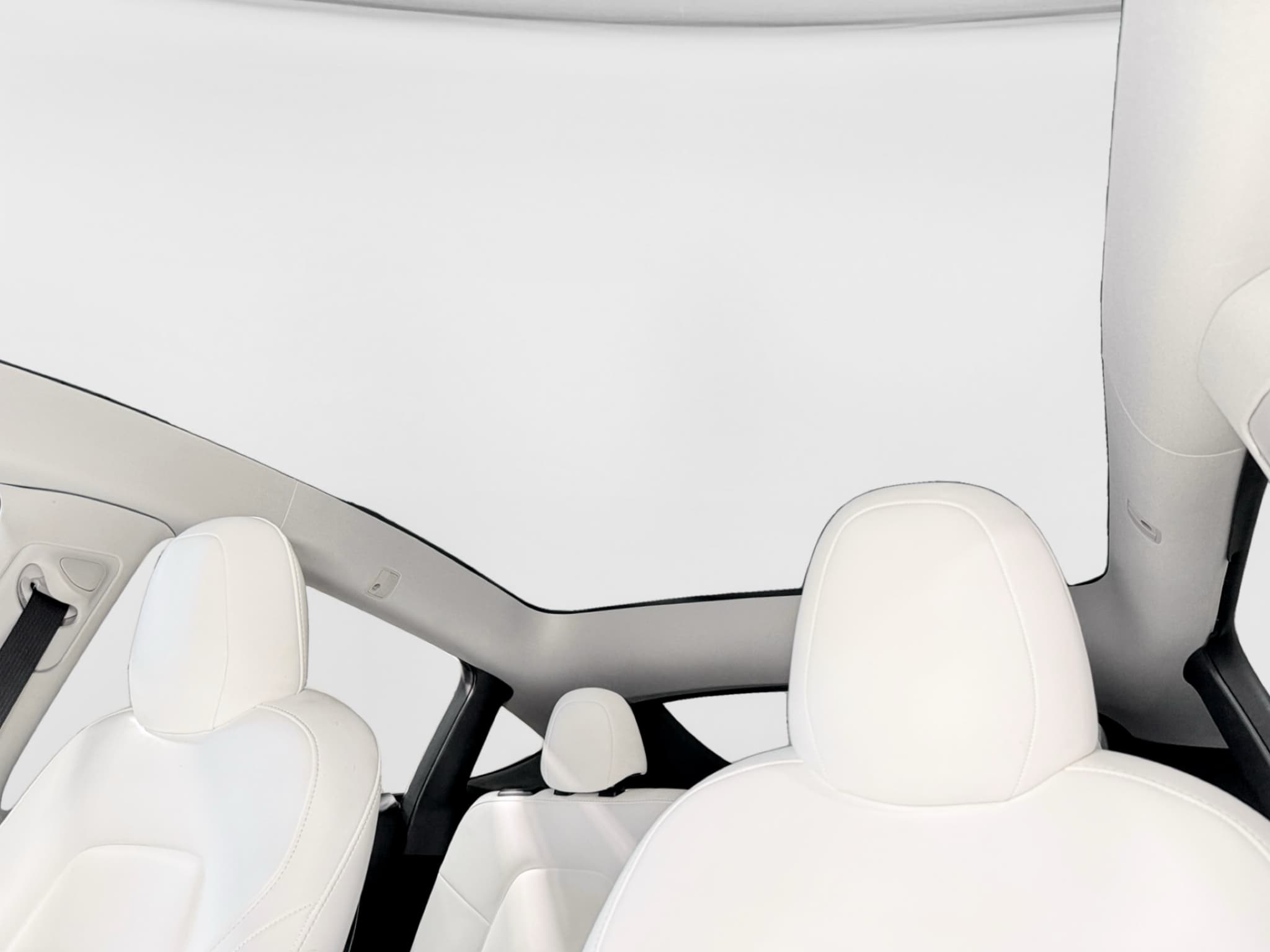 2023 Tesla Model Y view 23