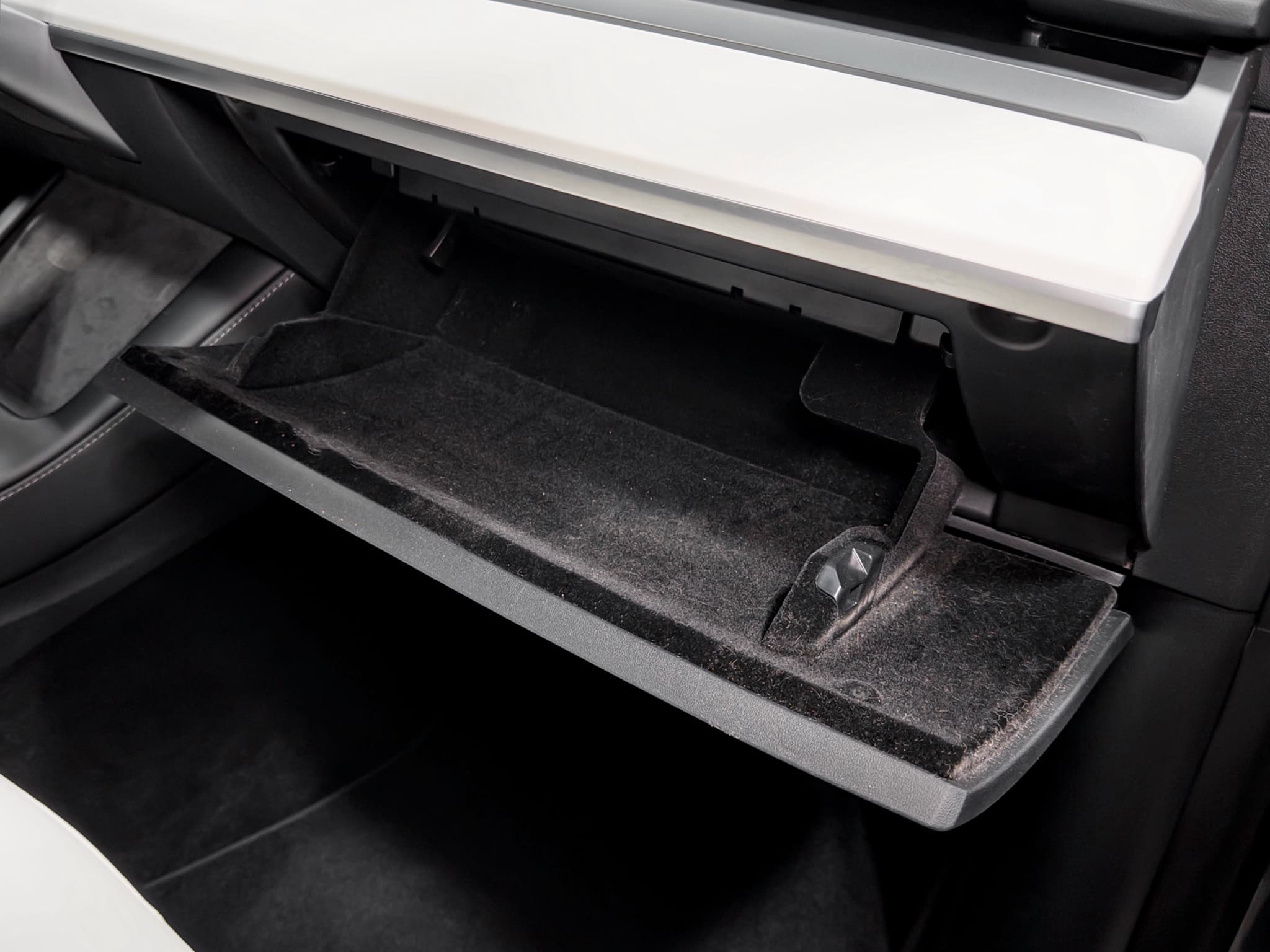 2023 Tesla Model Y view 19
