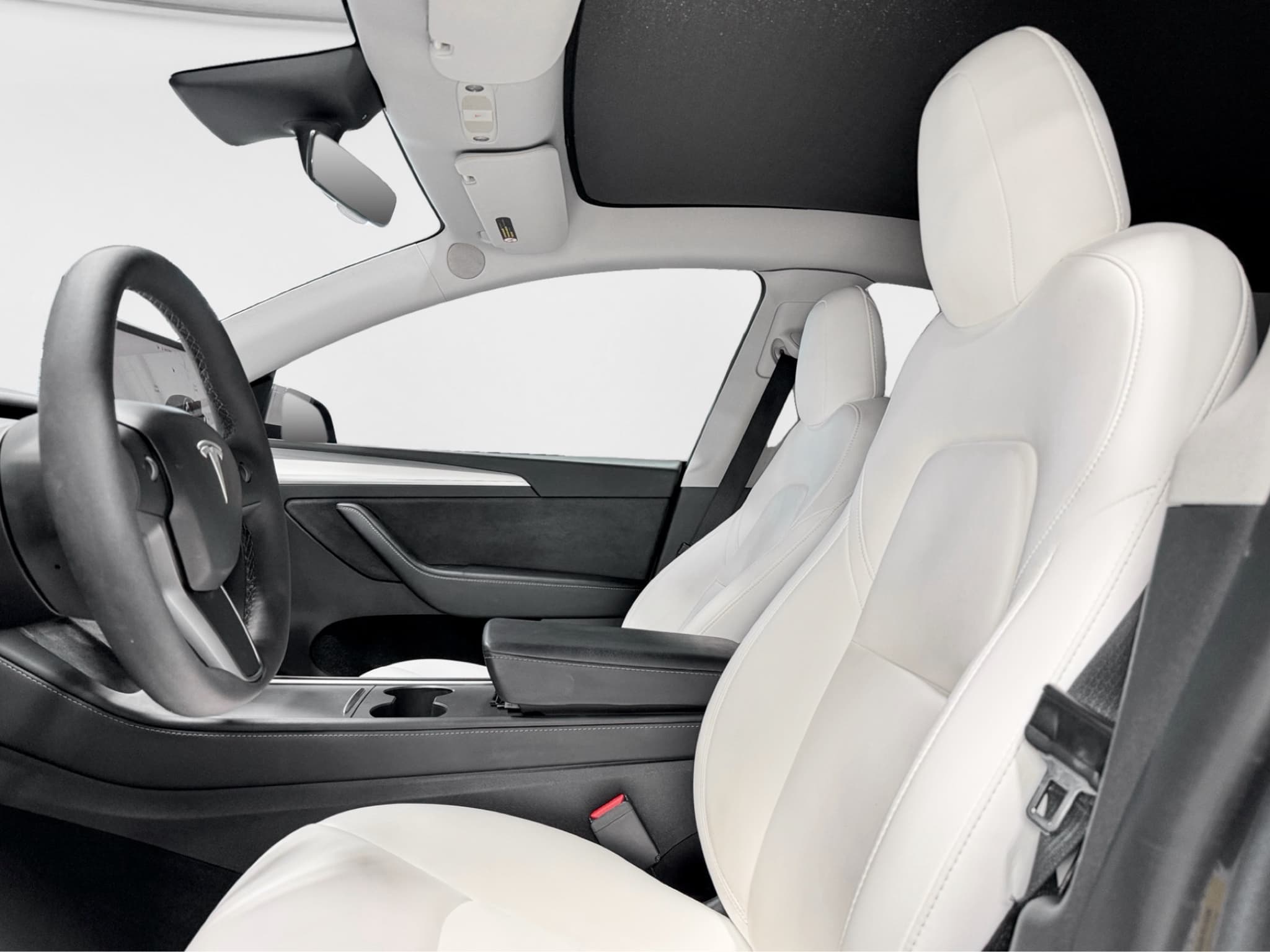 2023 Tesla Model Y view 16