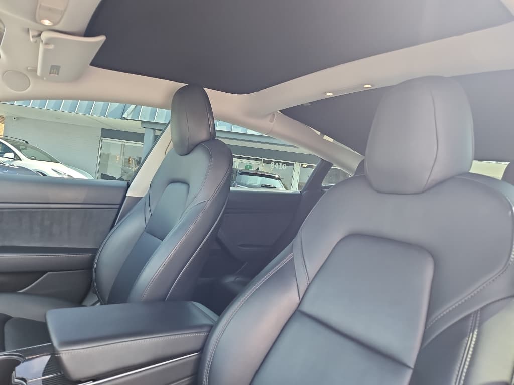 2020 Tesla Model 3 view 18