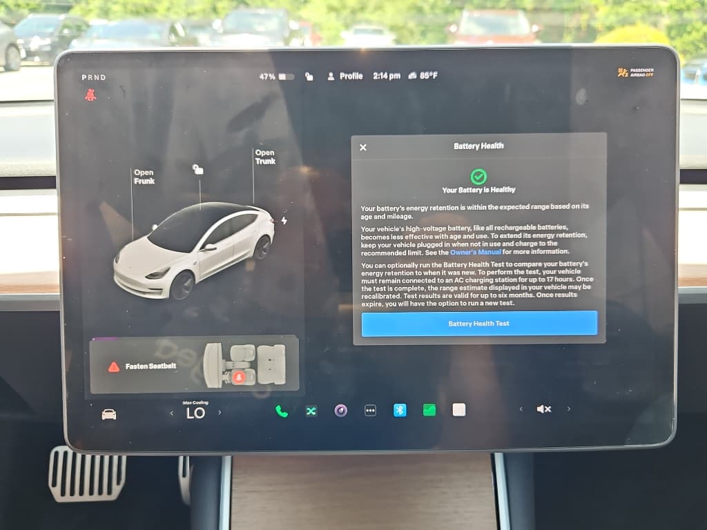 2020 Tesla Model 3 view 12