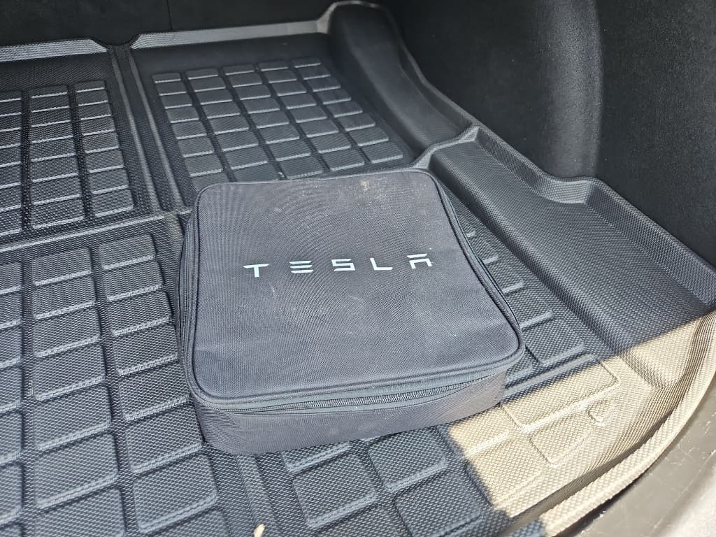 2020 Tesla Model 3 view 6