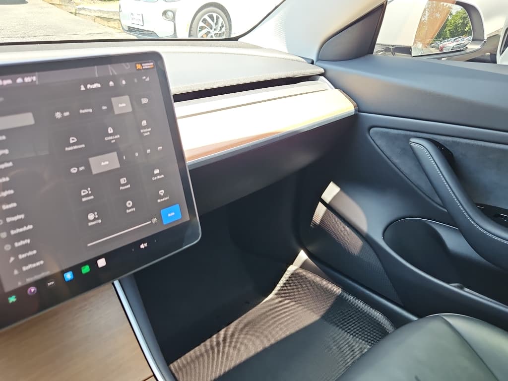 2020 Tesla Model 3 view 14