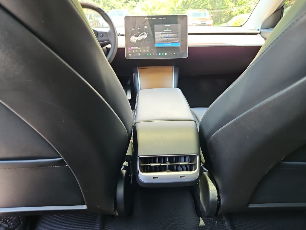 2020 Tesla Model 3 view 19