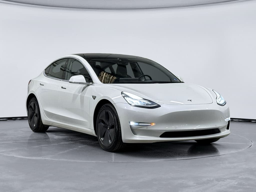 2020 Tesla Model 3 view 4
