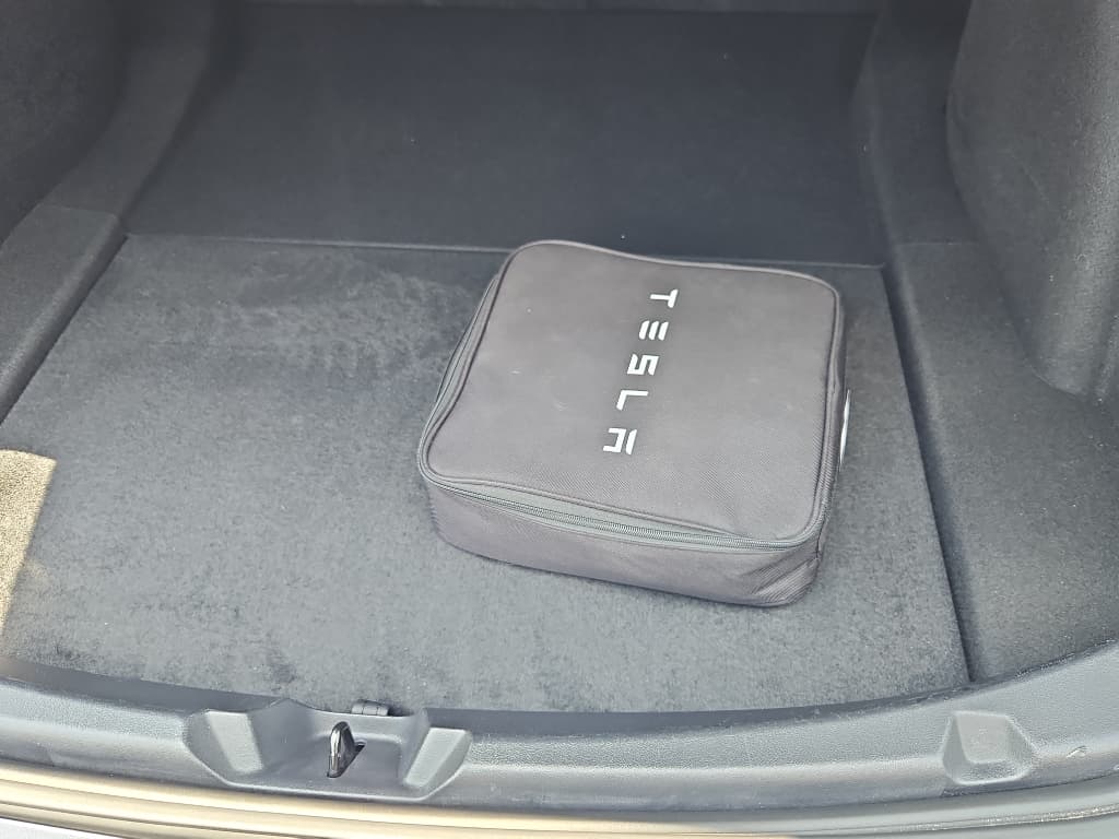 2020 Tesla Model 3 view 6