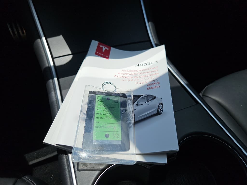 2020 Tesla Model 3 view 17