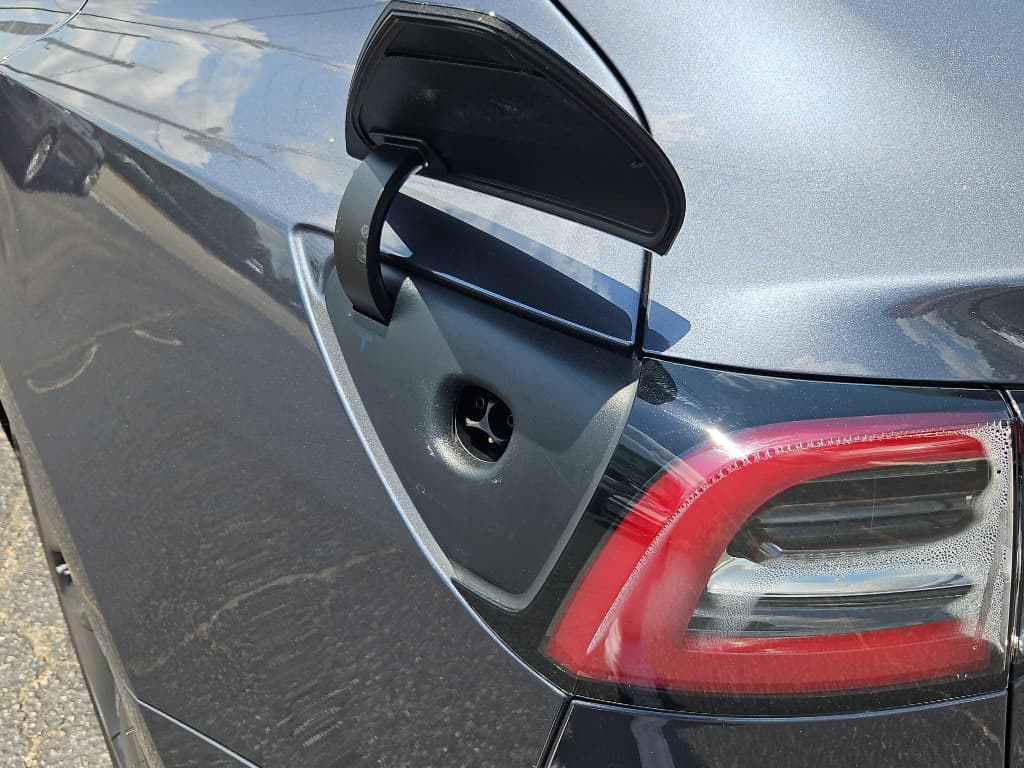 2020 Tesla Model 3 view 5