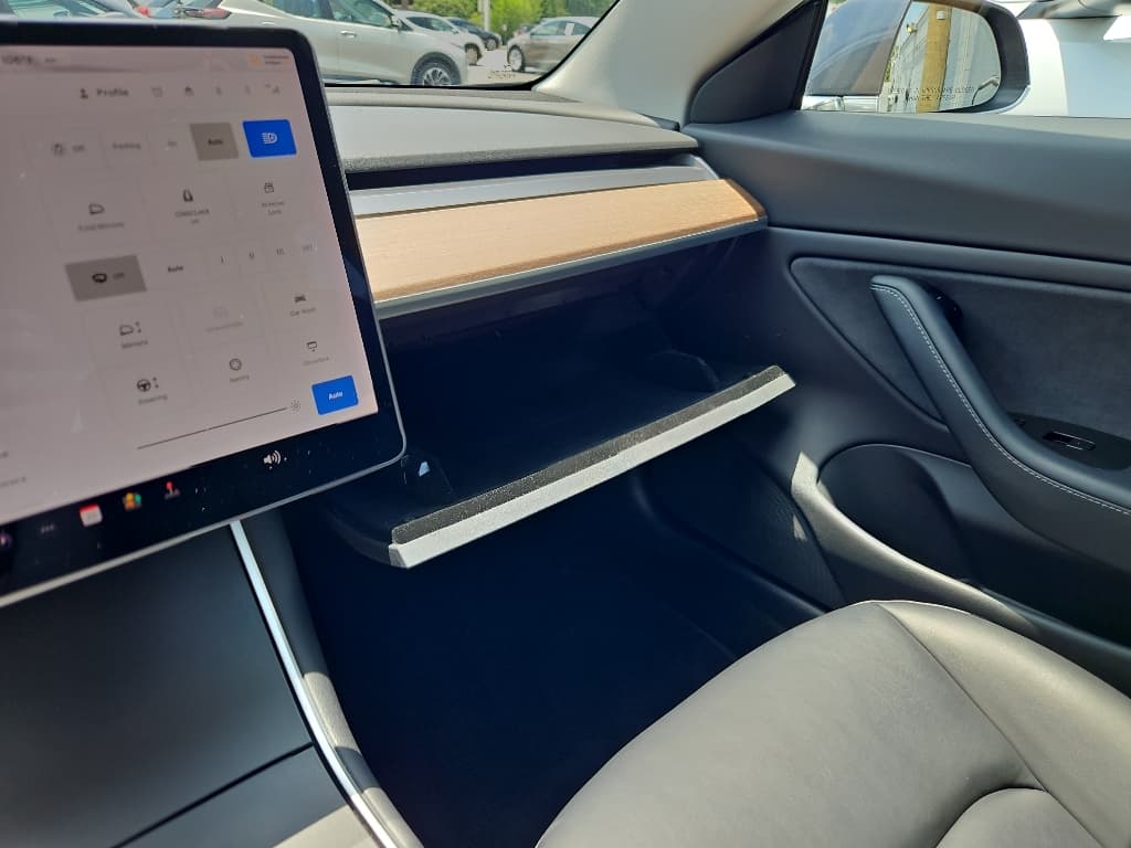 2020 Tesla Model 3 view 16