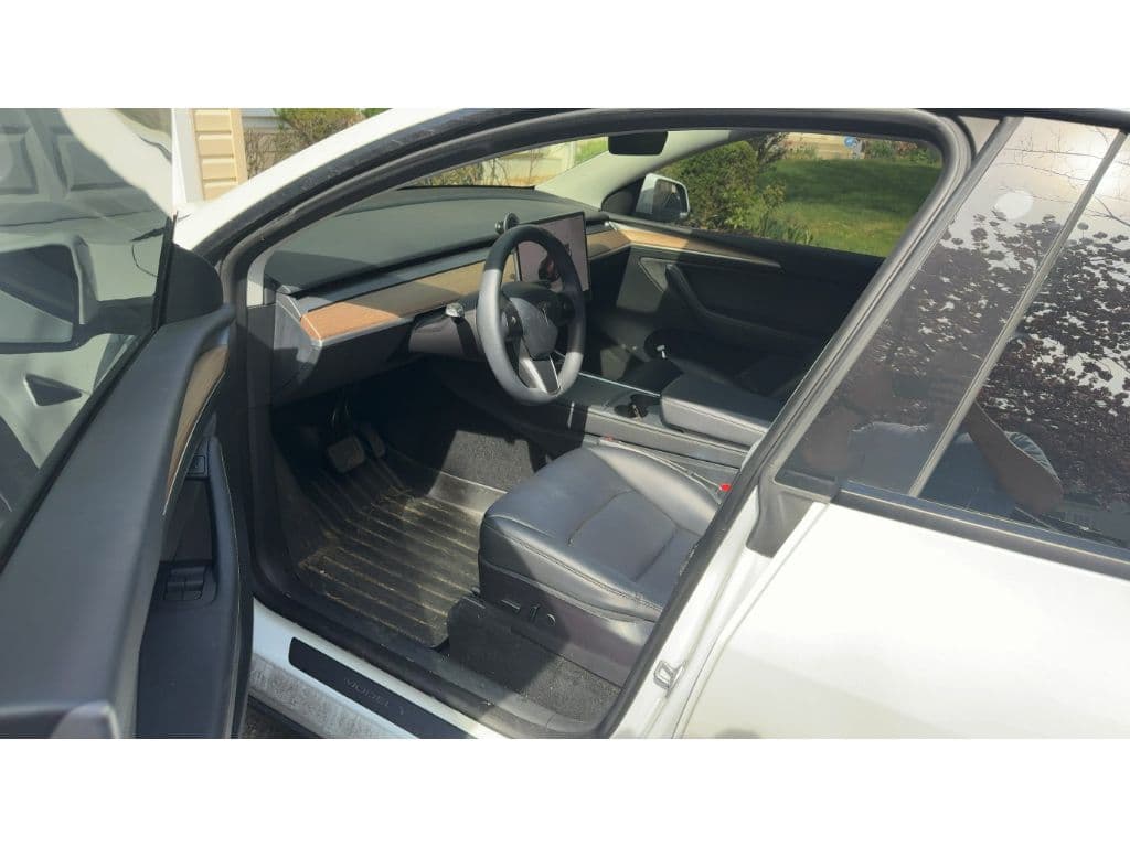 2023 Tesla Model Y view 5