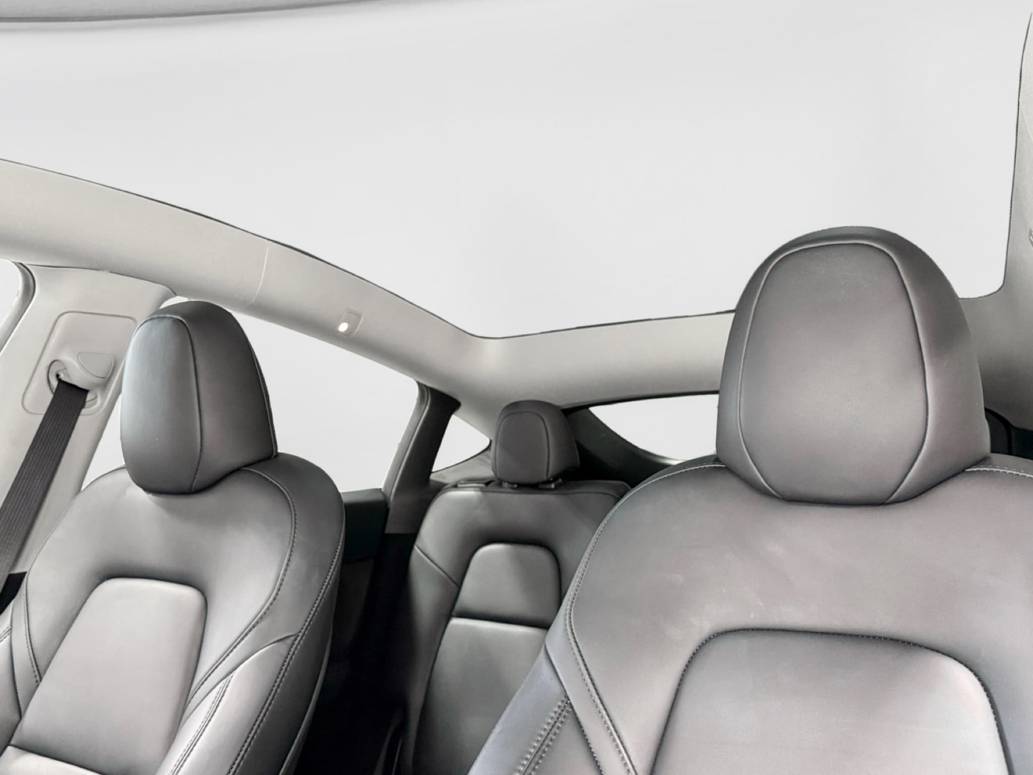 2023 Tesla Model Y view 22