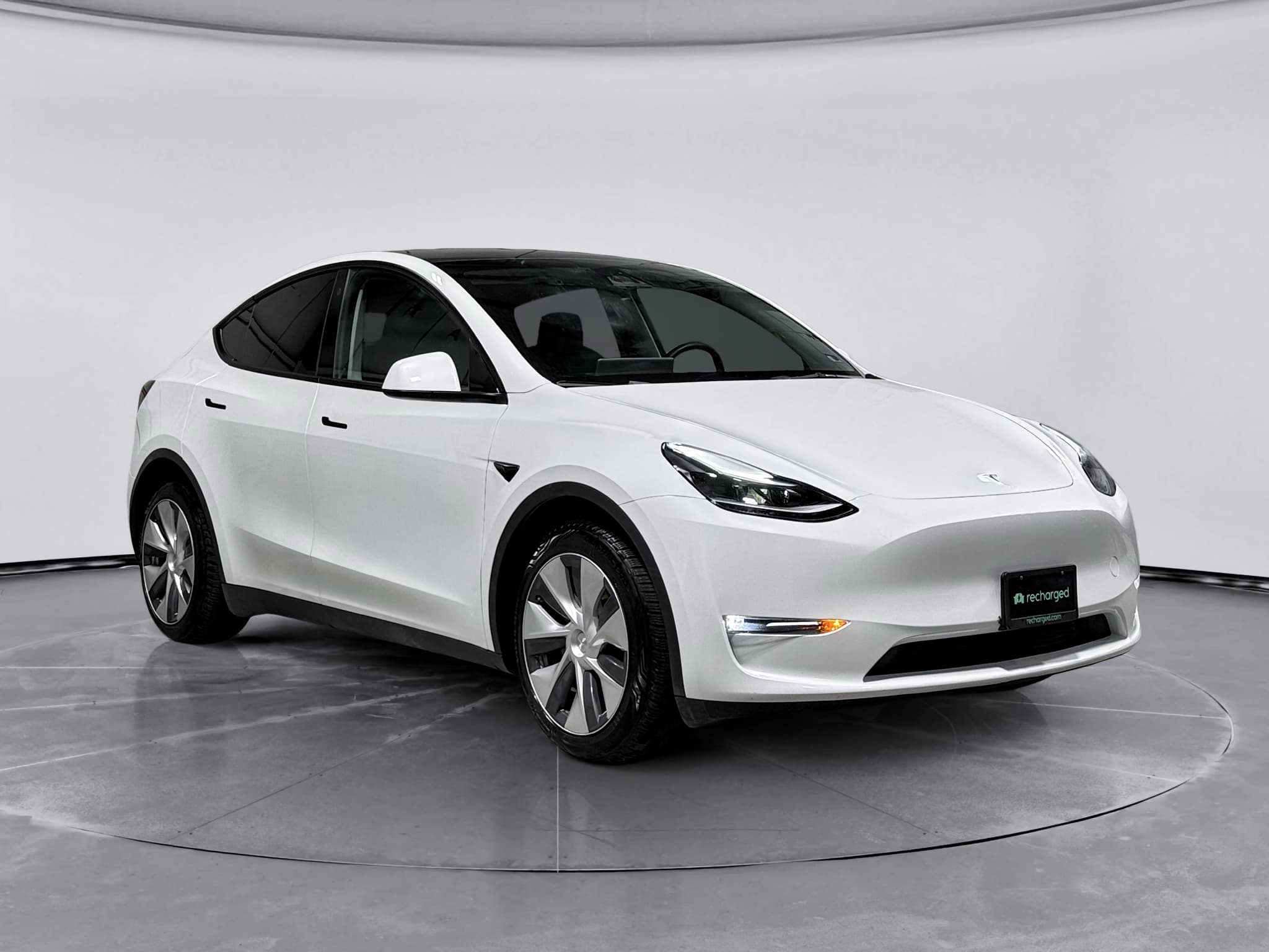 2023 Tesla Model Y view 4