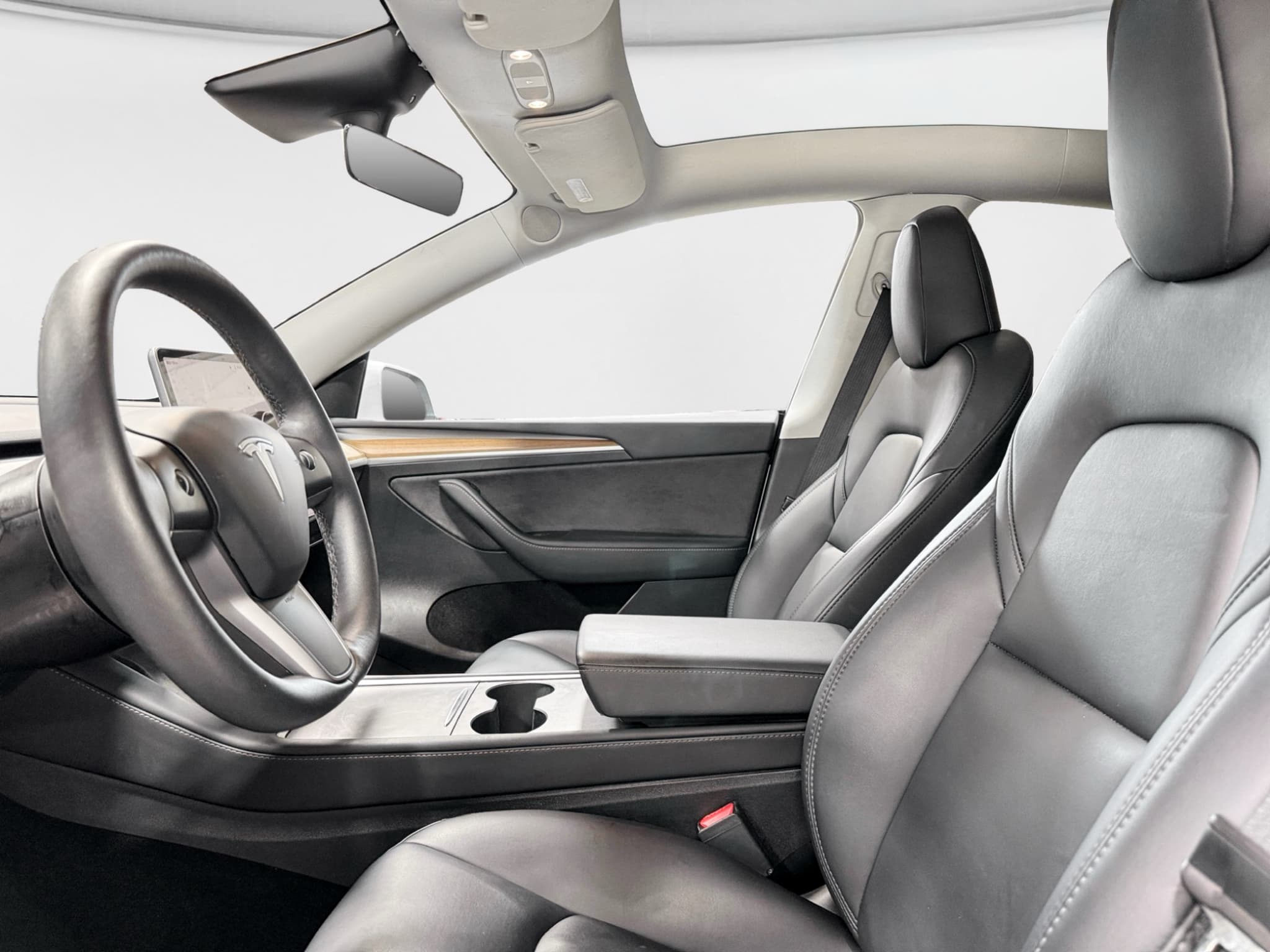 2023 Tesla Model Y view 15