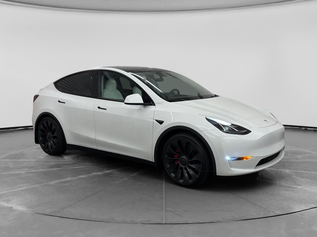 2023 Tesla Model Y view 4