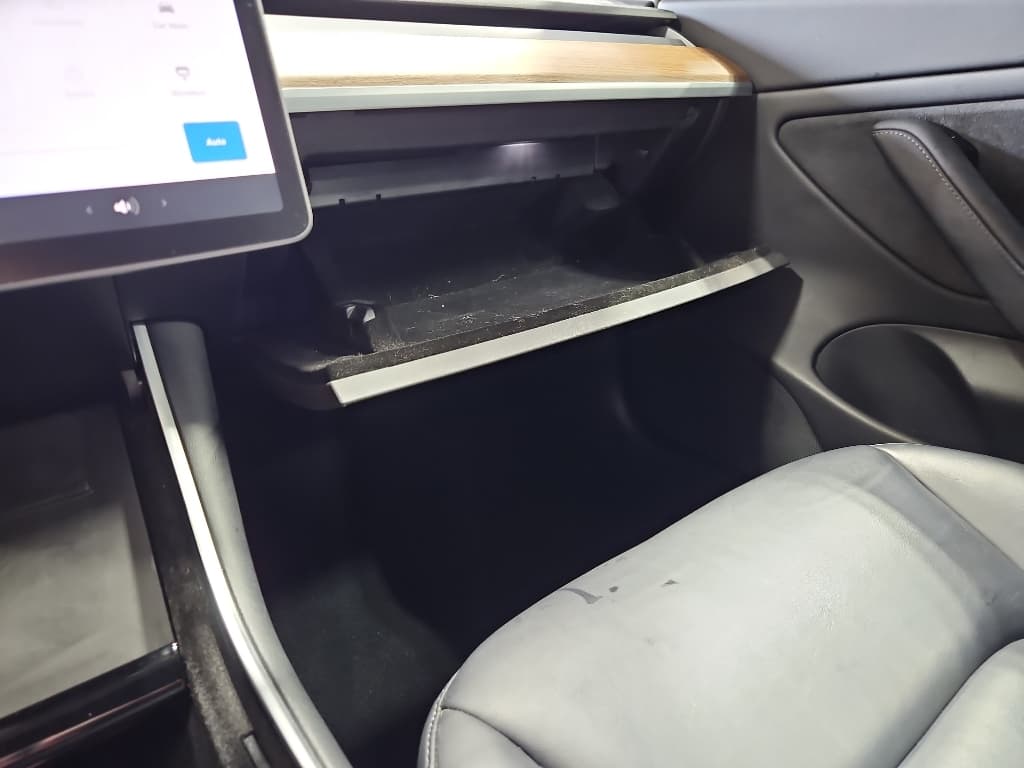 2020 Tesla Model 3 view 15