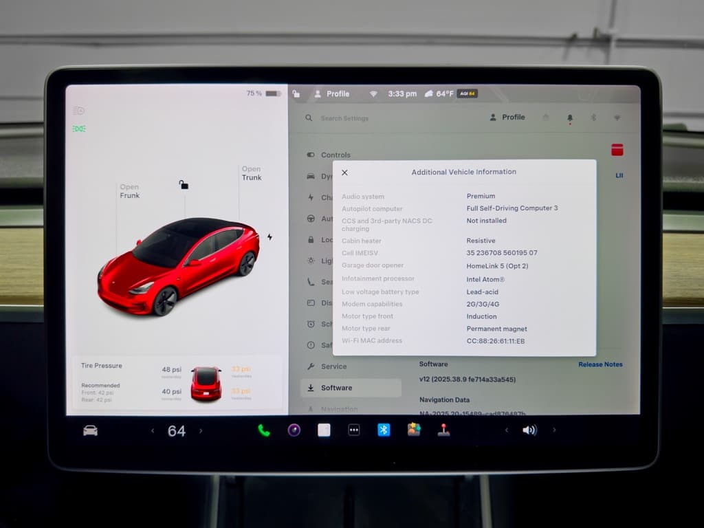 2020 Tesla Model 3 view 10