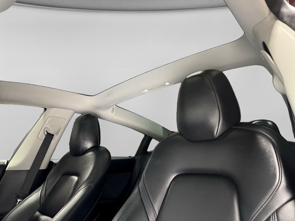 2020 Tesla Model 3 view 22